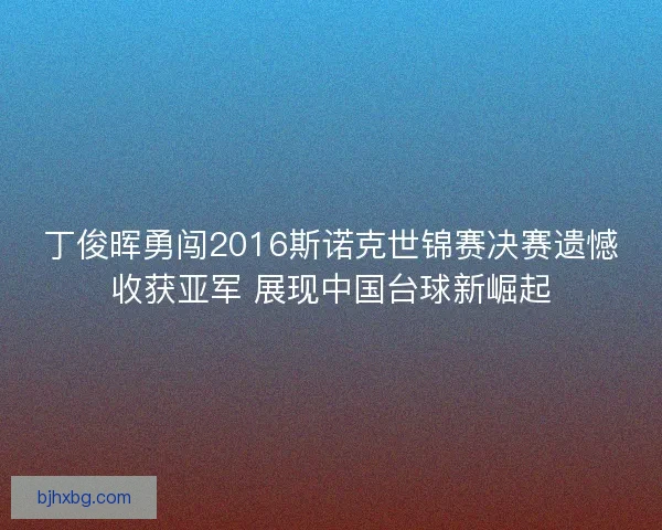丁俊晖勇闯2016斯诺克世锦赛决赛遗憾收获亚军 展现中国台球新崛起