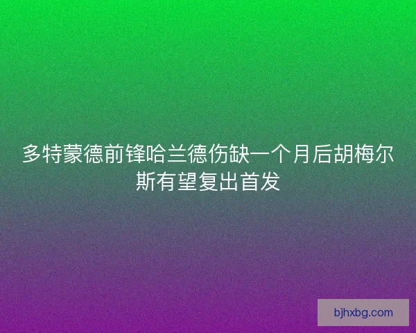 多特蒙德前锋哈兰德伤缺一个月后胡梅尔斯有望复出首发