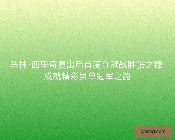 马林·西里奇复出后首度夺冠战胜张之臻 成就精彩男单冠军之路